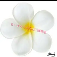 ちーずぐらたん໒꒱.*様専用　ミニチュア