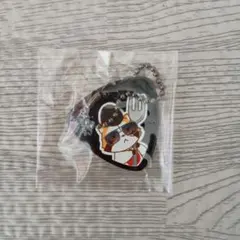 あらいぐまラスカル ギターピック型 キーホルダー