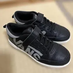 vans 17cm