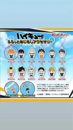 ハイキュー!! ふらっとめじるしアクセサリー 日向翔陽