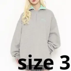 PUNYUS 襟付きハーフZIP裏起毛スウェット グレー