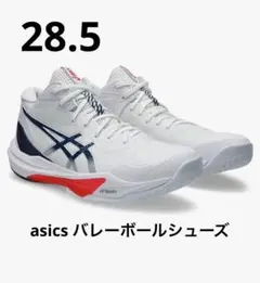g*n様 asics バレーボールシューズ SKY ELITE FF 3 26. - メルカリ