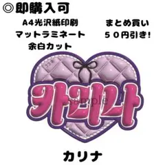 【카리나 カリナ aespa】フレーム ネームボード オーダー ぷっくり ぷっくりネームボード aespa カリナ - メルカリ