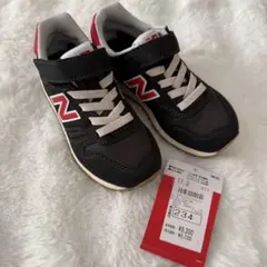 Item thumbnail for item 61c5ee2c-dba9-498e-bd88-a182d9424c03