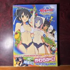 イラスト集 + A4クリアファイル　閃乱カグラ　PBS イラスト集　店舗限定特典 Amazon.co.jp: 閃乱カグラシリーズ 公式イラスト集 -少女達の