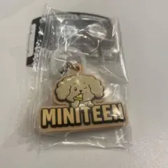 SEVENTEEN MINITEEN ぷっくりめじるしアクセサリー