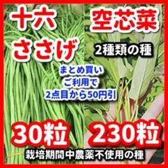 Shiang様 リクエスト 2点 まとめ商品