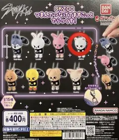 匿名配送 スキズ つまんでつなげてますこっとでらっくす！ ジニレット ヒョンジン