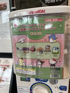 サンリオキャラクターズ ご当地ピンズコレクション栃木限定