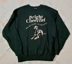 ニコアンド　アニマルダブルジャカードニットプルオーバー　М　グリーン