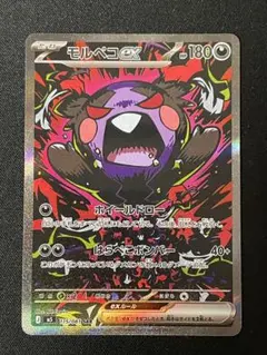 2026年最新】モルペコex SARの人気アイテム - メルカリ