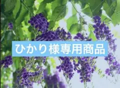 氷川きよし ビッグバスタオル新品 氷川きよし ビッグバスタオル新品 氷川きよし ビッグバスタオル新品