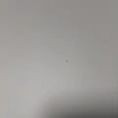 Item thumbnail for item 4d8bdaf3-7e75-45bc-925e-8a1b63e8c4eb