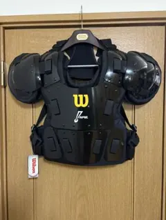 Item thumbnail for item c88b1be6-6de4-47d5-844a-b0995c08ddec