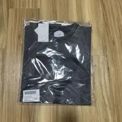 グレー Tシャツ