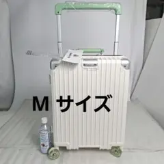 Item thumbnail for item d4652202-c266-412d-9a32-0460aba9ad71