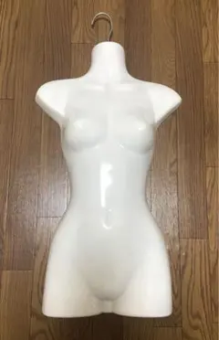 【12月16日までの出品】プラスチックハンガートルソー