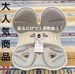 2025年最新】骨盤矯正 deziyuaの人気アイテム - メルカリ