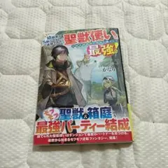 幼馴染のS級パーティーから追放された聖獣使い　ラノベ