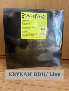 2026年最新】erykah badu レコードの人気アイテム - メルカリ