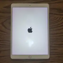 超ジャンク　 iPadpro 256セルラー10.5インチ おまけ外装たぶん綺麗