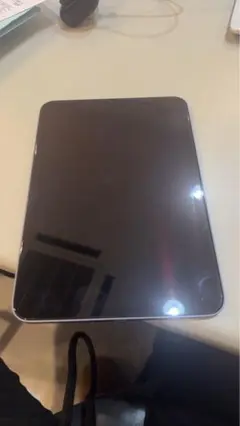 apple ipad mini
