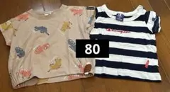 champion mimoland ボーダー　恐竜　2枚　セット　半袖　洗い替えのサムネイル
