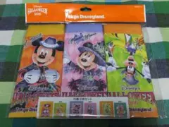 ディズニーランド 巾着
