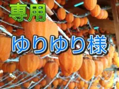 ☆専用ゆりゆり様 【農直:訳あり】福島産:伊達》枯露柿(あんぽ柿)個包装15個