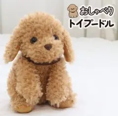 Item thumbnail for item 0a9c016a-0b30-43d0-ac38-17454a96a4a2