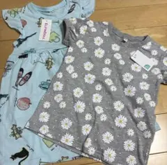 Item thumbnail for item 4577054a-6bdd-4c63-b058-ac5bb1e1ed24