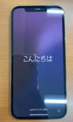 動作確認済み iPhone 12 Pro 256GB ID:G0922