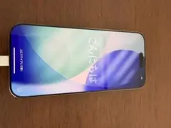 Apple iPhone 16 ProMax チタニウム(ケース付き)