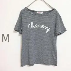 ストライプ 半袖Tシャツ 刺繍 ストライプTシャツ Charmy M
