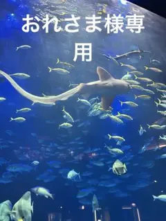 セリーヌショルダーバッグのサムネイル