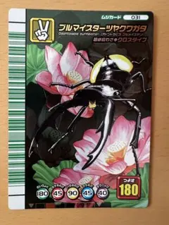 ブルマイスターツヤクワガタ