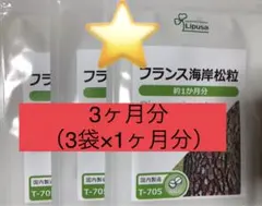 フランス海岸松粒】【大容量】【リプサ】【1袋・約3ヶ月分】【メルカリ