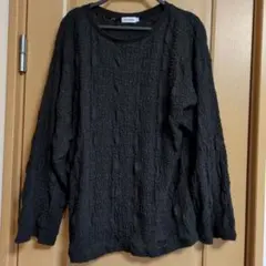 レプシム Tシャツ