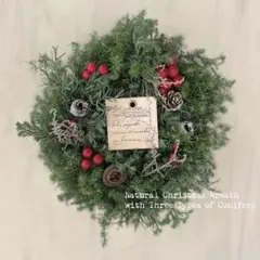＊赤い実とグリーンのクリスマスナチュラルリース＊№726 メルカリ便　ラッピング