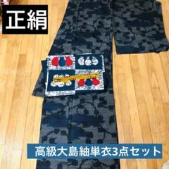 正絹‼️高級大島紬単衣3点セット⭐︎上質上品銘品