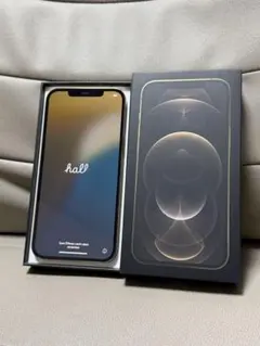 Apple iPhone 12 Pro Maxゴールド　256GB SIMフリー
