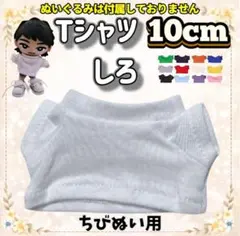 白 Tシャツ 10cm ぬい服 ぬい活 韓国 推し活 すのチル 無属性 海外のサムネイル