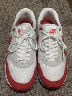 Nike Air Max 1 25.5cm