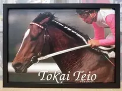 競馬 トウカイテイオー パネル TOKAI TEIO