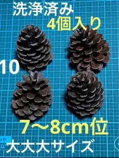 ❤️松ぼっくり❤️10 4個入り7〜8cm位大大大サイズ