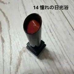 ケイト リップモンスター 14 憧れの日光浴