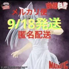 幽☆遊☆白書 MAXIMATIC YOUKO KURAMA フィギュア 妖狐蔵馬