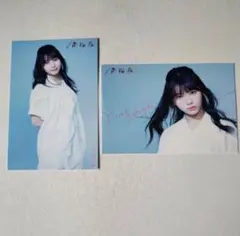 欅坂46(けやき坂46) - 柿崎芽実直筆サイン入り生写真 けやき坂46 日向坂46 柿崎芽実 直筆サイン 生写真 けやき坂46 日向坂