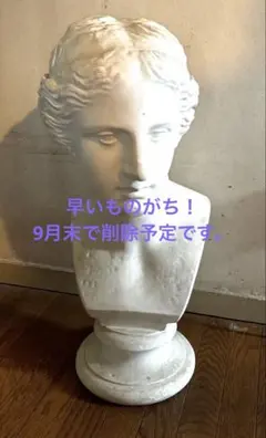 芸大 美大 ローラナ 作 マリエッタ・ストロッチ マリア・スフォルツァ