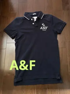 Abercrombie&Fitch メンズ Tシャツ S